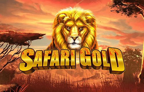 Safari Gold
